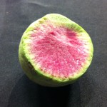 watermelon.radish.WBTV.1.4.16